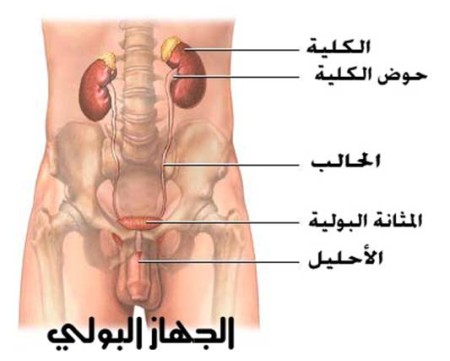 البرونزية